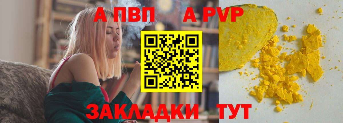A PVP СК Новокузнецк